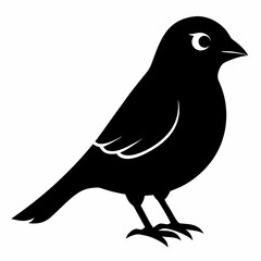 Sleek Black Silhouette of a Canary