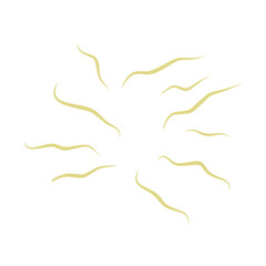 Illustration Ascaris