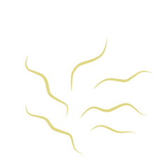 Illustration Ascaris