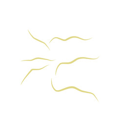 Illustration Ascaris