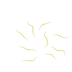 Illustration Ascaris