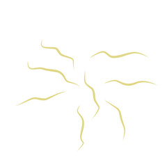 Illustration Ascaris