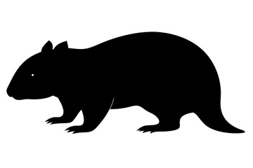 Vector silhouette of a wombat walking australian wildlife mammal illustration black design, wombat, silhouette, vector, animal, australia, australian, mammal, wildlife, marsupial, nature, icon, black