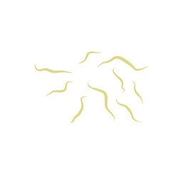 Illustration Ascaris