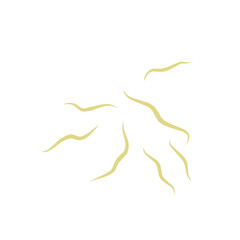 Illustration Ascaris