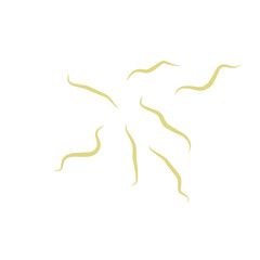 Illustration Ascaris