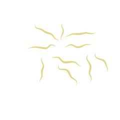 Illustration Ascaris
