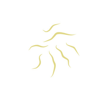 Illustration Ascaris