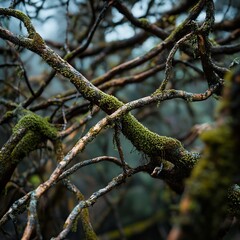 forest background Generative AI