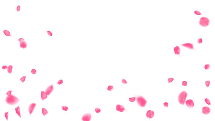 Realistic pink rose petals floating decoration festive graphic banner