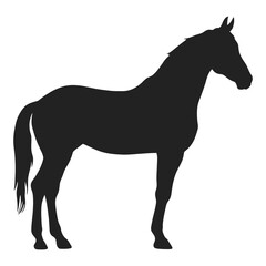 Black silhouette icon of a standing horse – vector farm animal symbol in side view