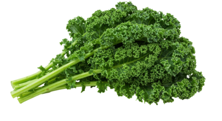 Fresh curly green kale, with ribbed stems, against black background, a healthy leafy vegetable