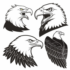Professional Eagle Head Illustrations: Black & White Vector Graphics.
