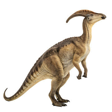 Fototapeta Parasaurolophus dinosaur isolated on a transparent background