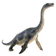 Plesiosaurus marine reptile isolated on a transparent background