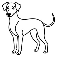 Stylish Canine Line Art Design