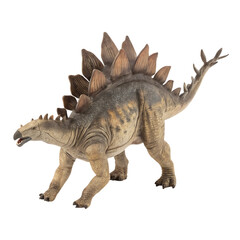 Stegosaurus dinosaur isolated on a transparent background