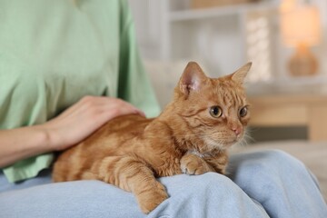 Woman with her cute ginger cat at home, closeup