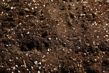 Texture of fresh soil as background, closeup