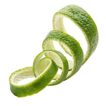 green snake on white background