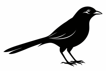 Obraz premium shrike sihouette black vector