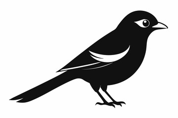 shrike sihouette black vector