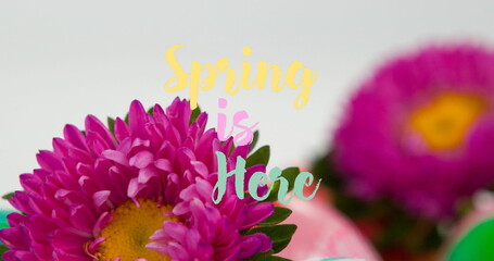 Fototapeta premium Image of flowers at easter and spring is here text