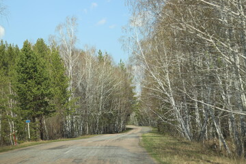 road in the forest