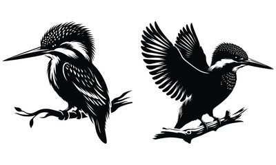 Kingfisher silhouette vector