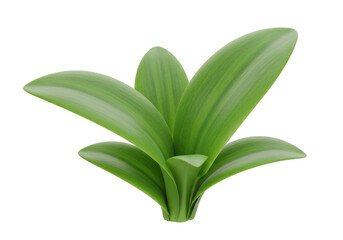 Fototapeta premium Verdant sprout emerging a symbol of growth against the stark void