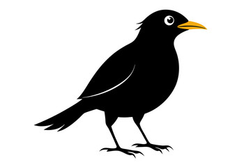 mynah sihouette black vector