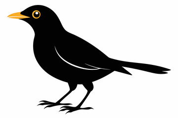 mynah sihouette black vector