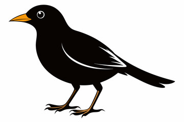 mynah sihouette black vector