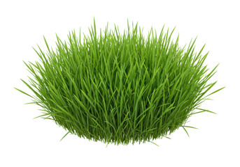 Vibrant green blades form a lush mound against stark black