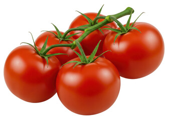 Vineripened cluster of five glossy red tomatoes verdant stems