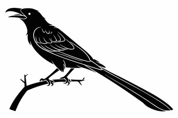 Fototapeta premium drongo sihouette black vector