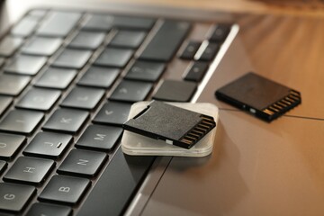 SD memory cards and holder on laptop, closeup