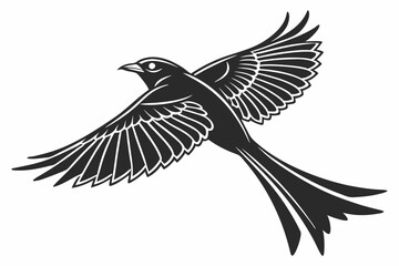 drongo sihouette black vector