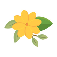 Yellow flower with leaves. Vector