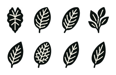 Nature leaf icons collection – solid style botanical, eco-friendly, and organic design elements: oak leaf, palm leaf, maple leaf, fern, simple leaf, herbal twig