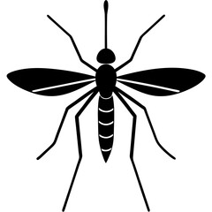 Animal Mosquito silhouette vector illustrator 