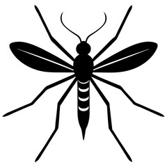 Fototapeta premium Animal Mosquito silhouette vector illustrator 