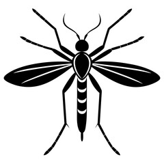 Animal Mosquito silhouette vector illustrator 