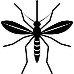 Animal Mosquito silhouette vector illustrator 