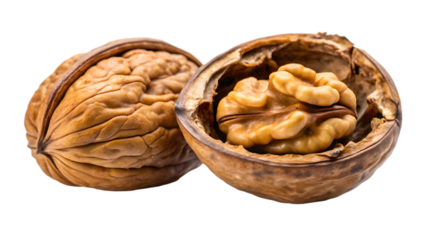 Wooden artist palette with paint strokes vector ittustratien