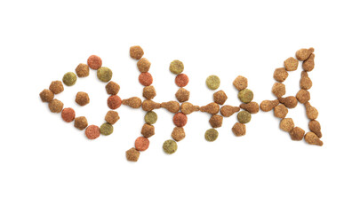 Fish skeleton made of dry pet food isolated on white, top view