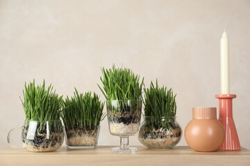 Wheat grass in transparent pots and decor on table near light wall