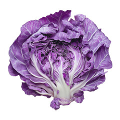 Obraz premium purple cabbage