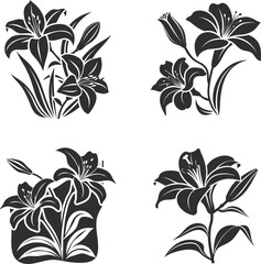 Vintage Botanical Lily Drawing - Botanical Lily Flower Illustration. Botanical Line Art for Nature-Themed Projects