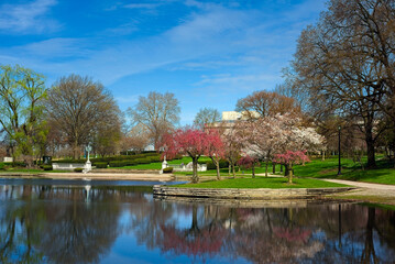 Reflections of cherry blossoms in the still waters of Wade Lagoon in the University Circle district of Cleveland, Ohio